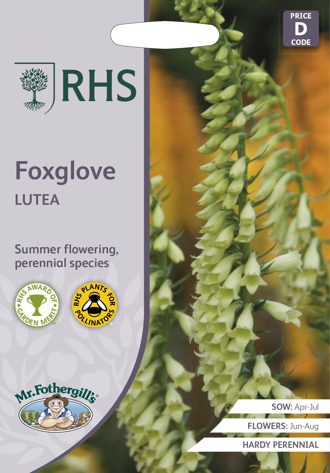 Mr Fothergills - RHS - Flower - Foxglove - Lutea - 1000 Seeds