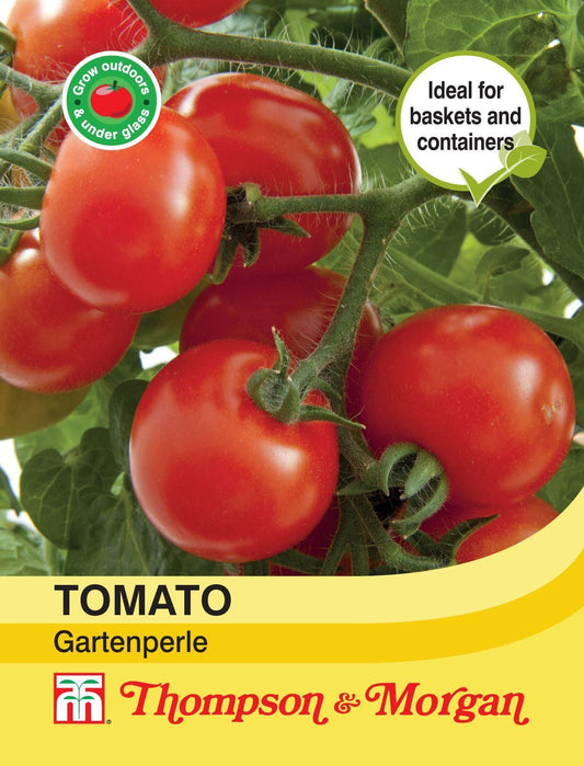 Thompson & Morgan Tomato Gartenperle 20 Seed