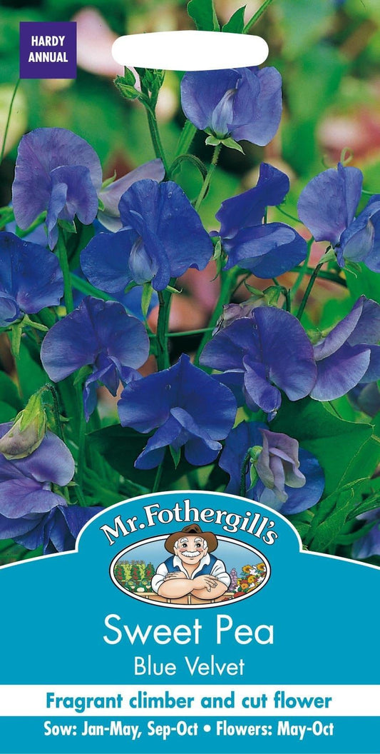 Mr Fothergills Sweet Pea Blue Velvet 35 Seeds