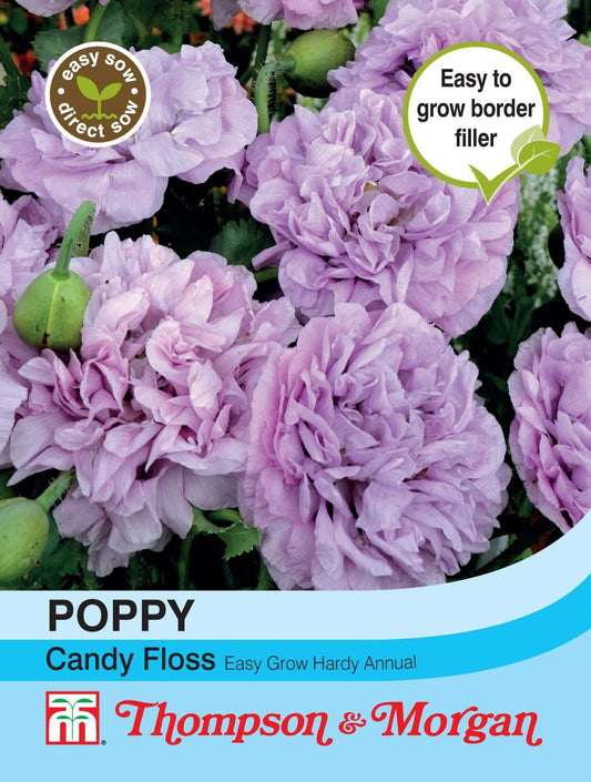 Thompson & Morgan Poppy Candy Floss 250 Seed