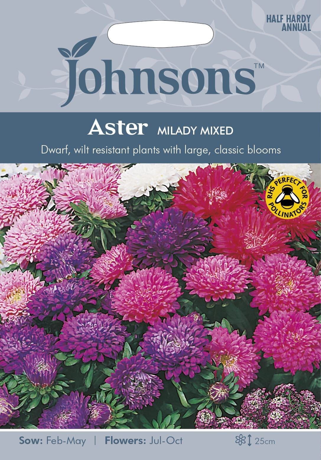 Johnsons Aster Milady Mixed 150 Seeds
