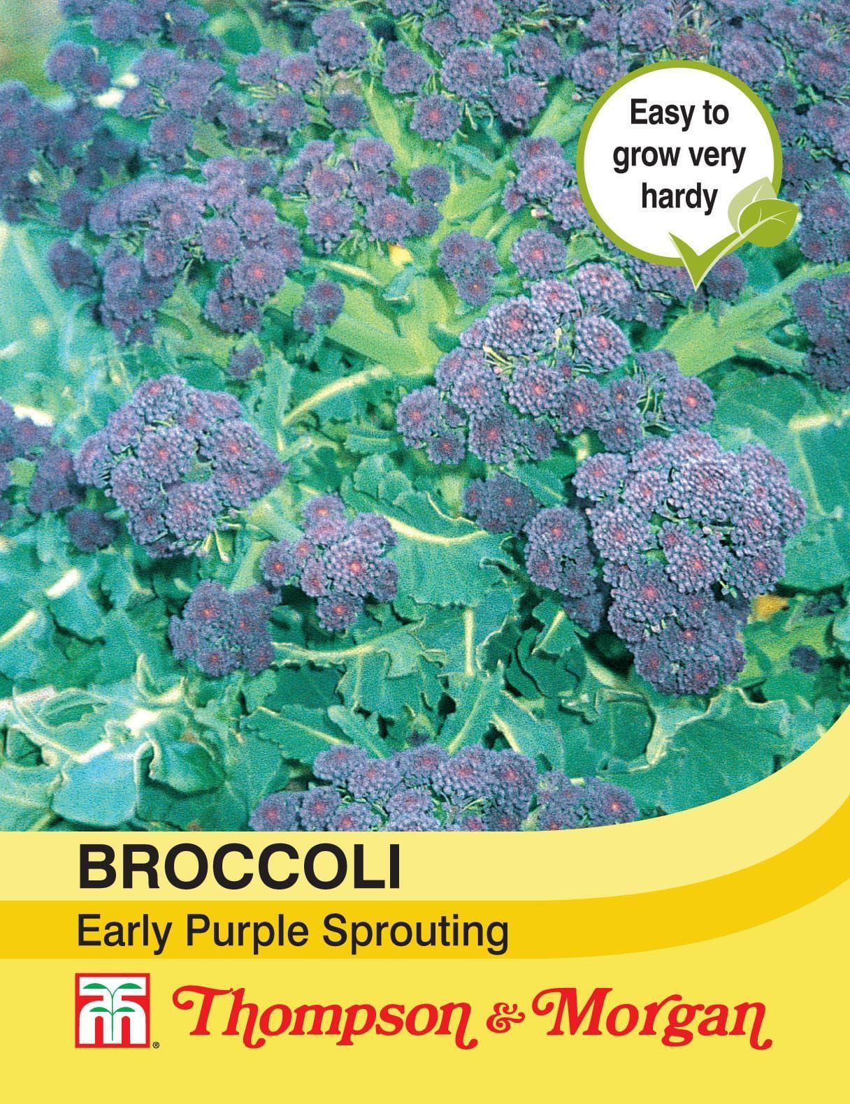 Thompson & Morgan Broccoli Early Purple Sprouting 200 Seed