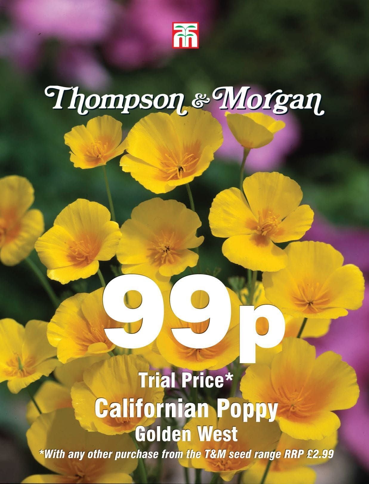 Thompson & Morgan - 99p Flower - Californian Poppy - Golden West - 250 Seeds