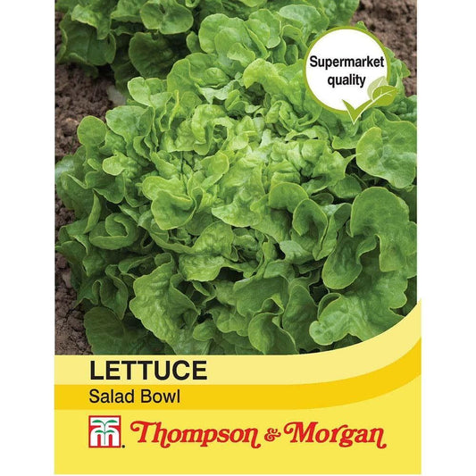 Thompson & Morgan Lettuce Salad Bowl 750 Seed