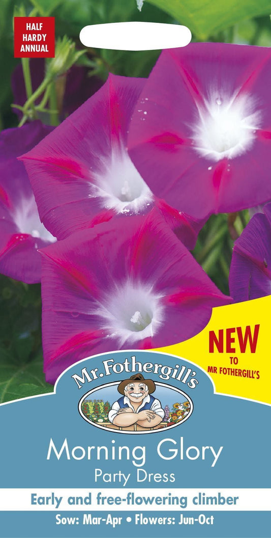 Mr Fothergills Morning Glory Party Dress 30 Seeds