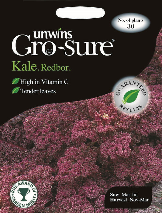 Unwins Kale Redbor F1 30 Seeds