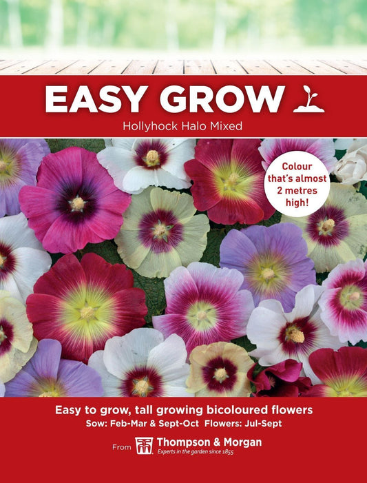 Thompson & Morgan - EasyGrow - Flower - Hollyhock - Halo Mixed - 40 Seeds