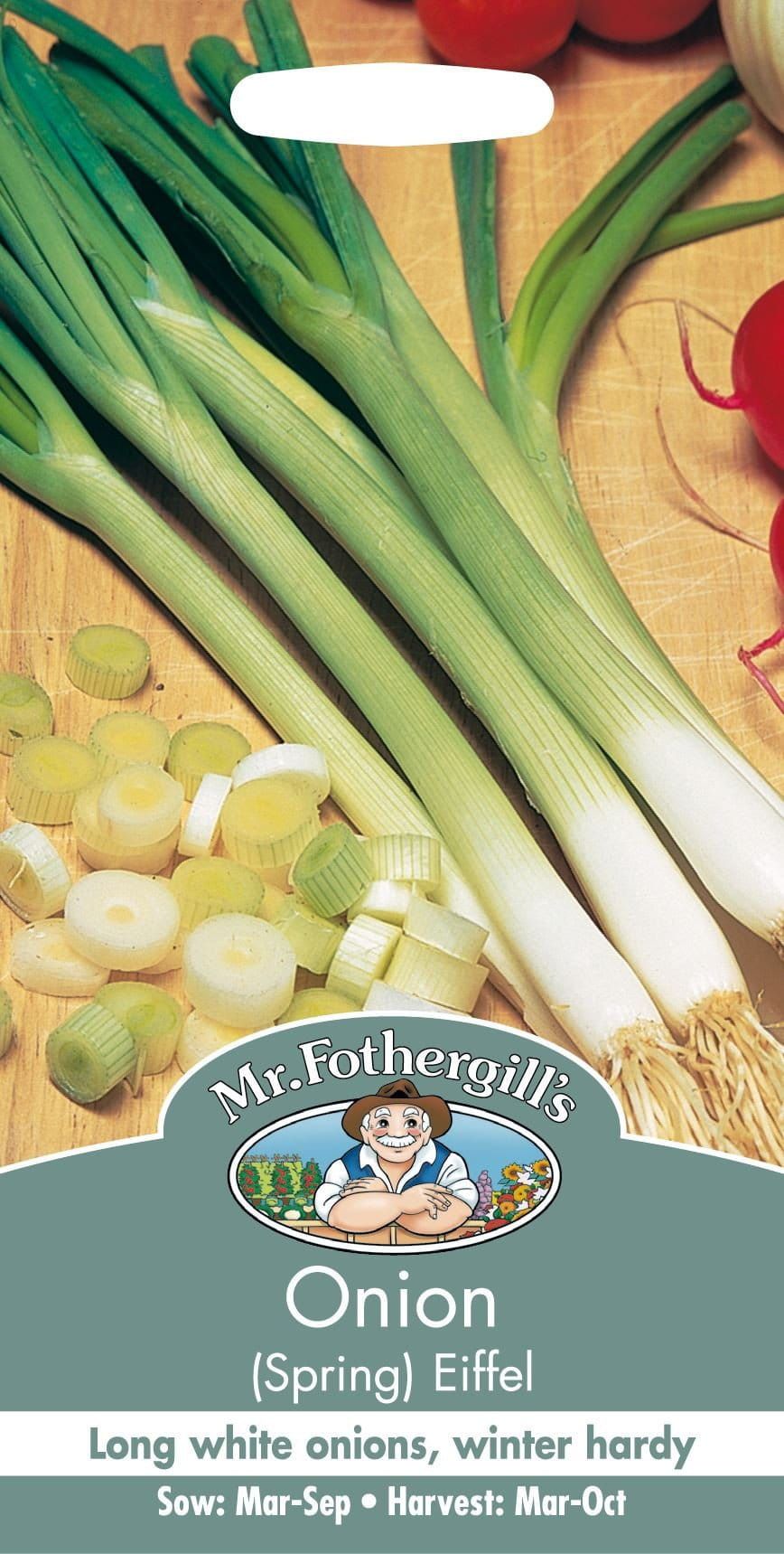 Mr Fothergills Spring Onion Eiffel 500 Seeds