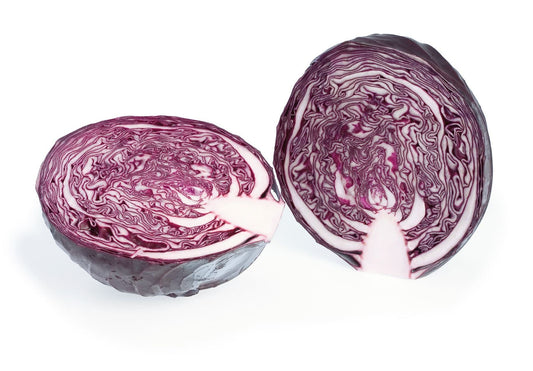 Red Cabbage Resima RZ F1 Hybrid Untreated Seeds