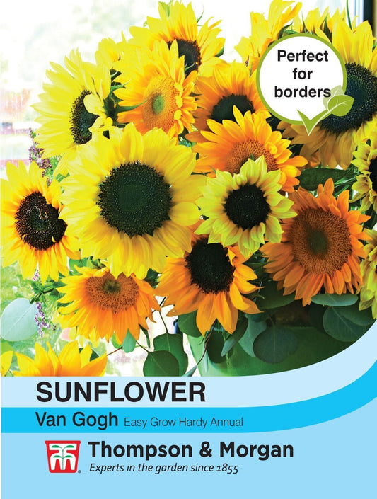 Thompson & Morgan - Flower - Sunflower - Van Gogh - 20 Seeds
