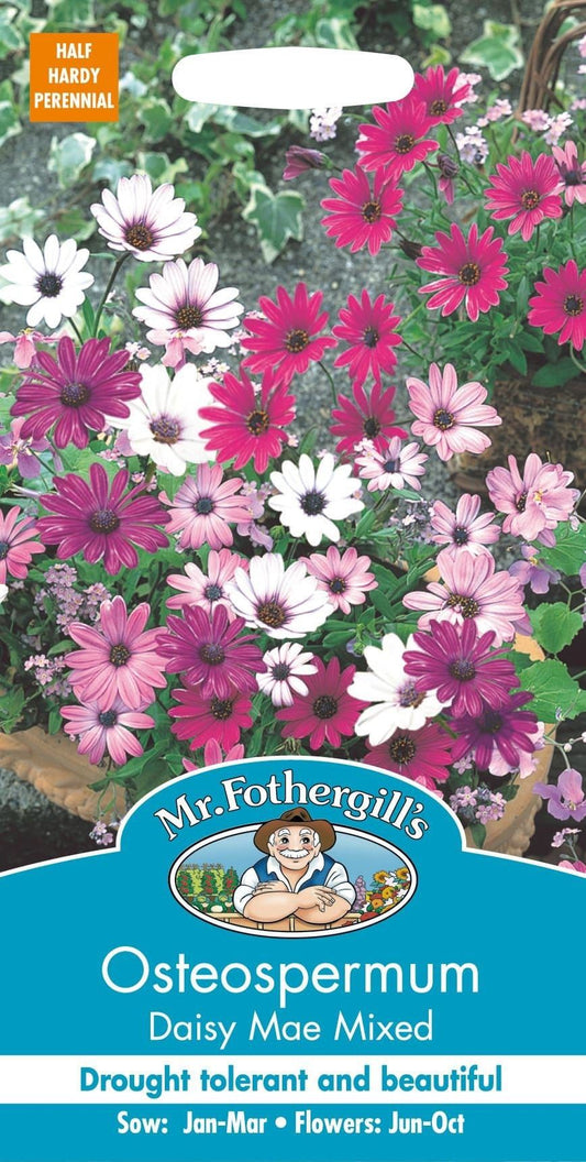 Mr Fothergills Osteospermum Daisy Mae Mixed 25 Seeds