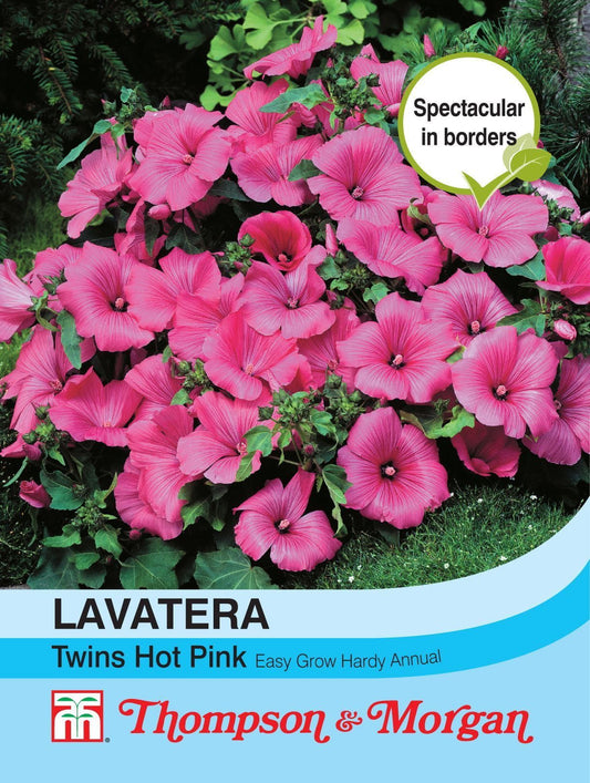 Thompson & Morgan - Flower - Lavatera - Twins Hot Pink - 25 Seeds