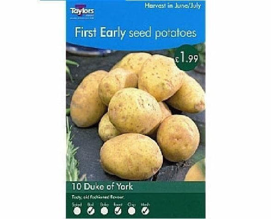 Taylors Seed Potatoes Duke of York 10 Tubers First Early