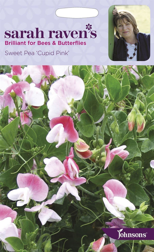 Johnsons Sarah Raven's Sweet Pea Cupid Pink 20 Seeds