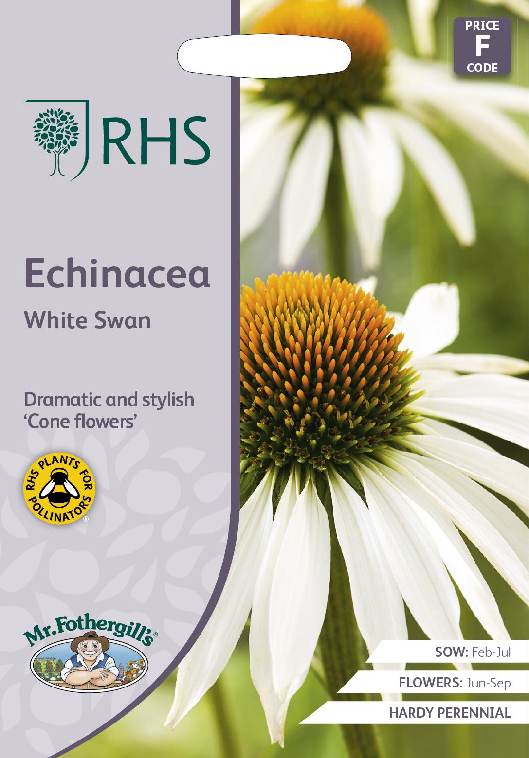 Mr Fothergills - RHS - Flower - Echinacea - White Swan - 50 Seeds