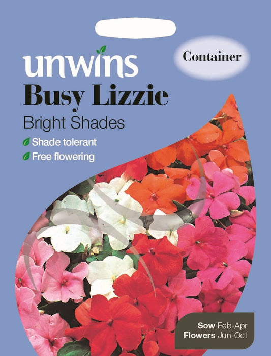 Unwins Busy Lizzie Bright Shades 50 Seeds