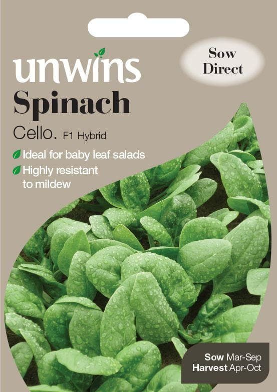 Unwins Spinach Cello 500 Seeds