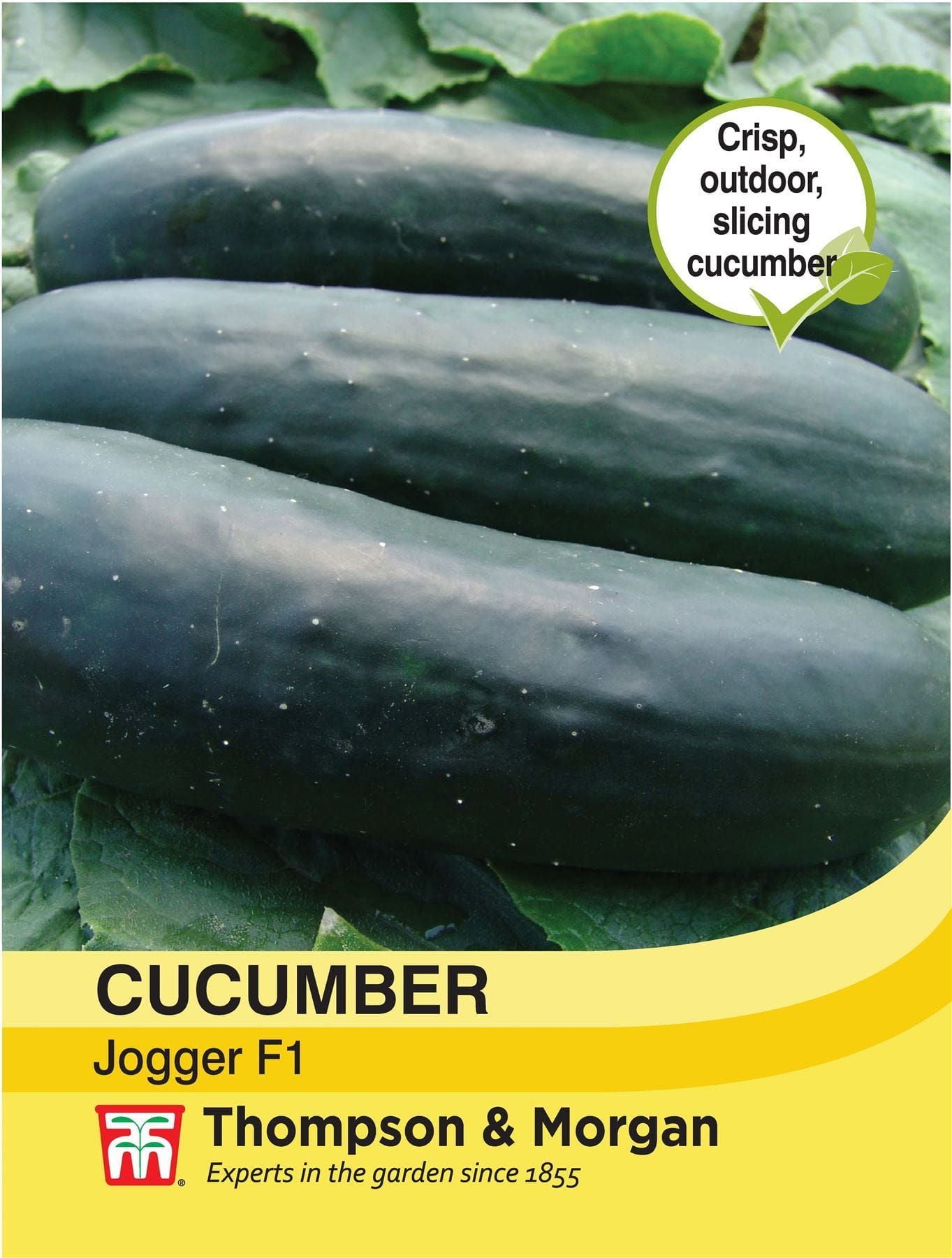 Thompson & Morgan - Vegetable - Cucumber - Jogger F1 Hybrid - 10 Seeds
