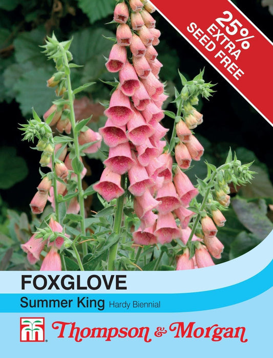 Thompson & Morgan Foxglove Summer King 60 Seed