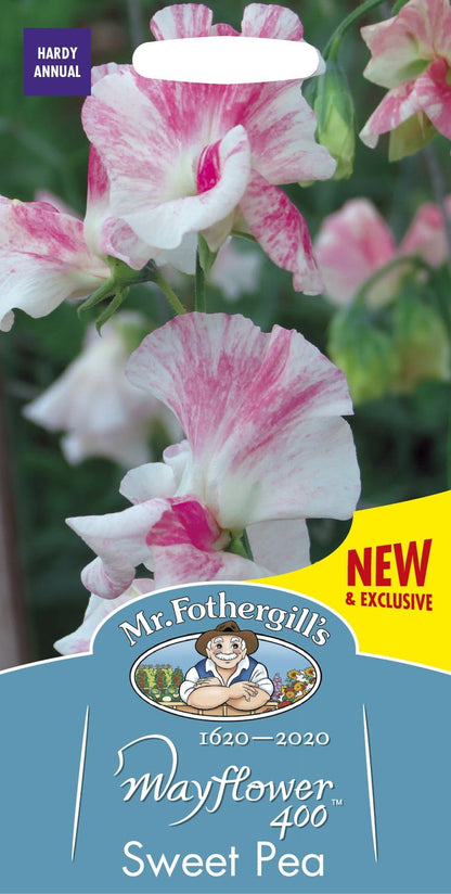 Mr Fothergills Sweet Pea Mayflower 400 20 Seeds