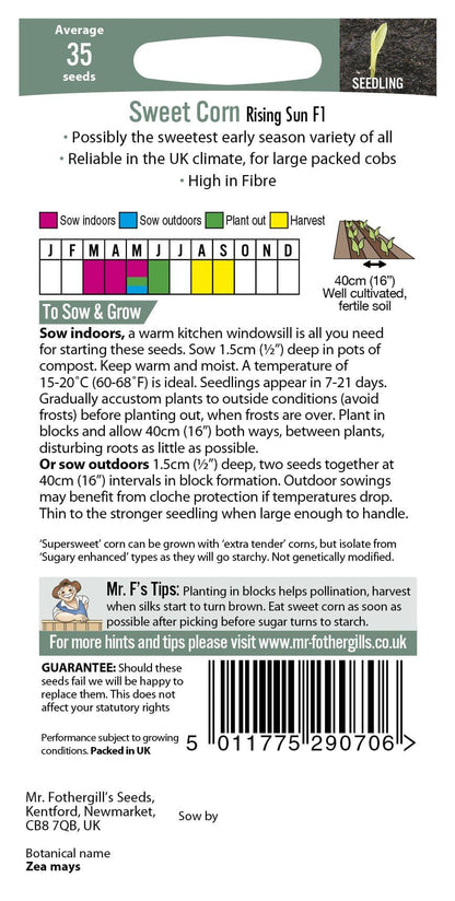 Mr Fothergills Sweet Corn Rising Sun F1 35 Seeds