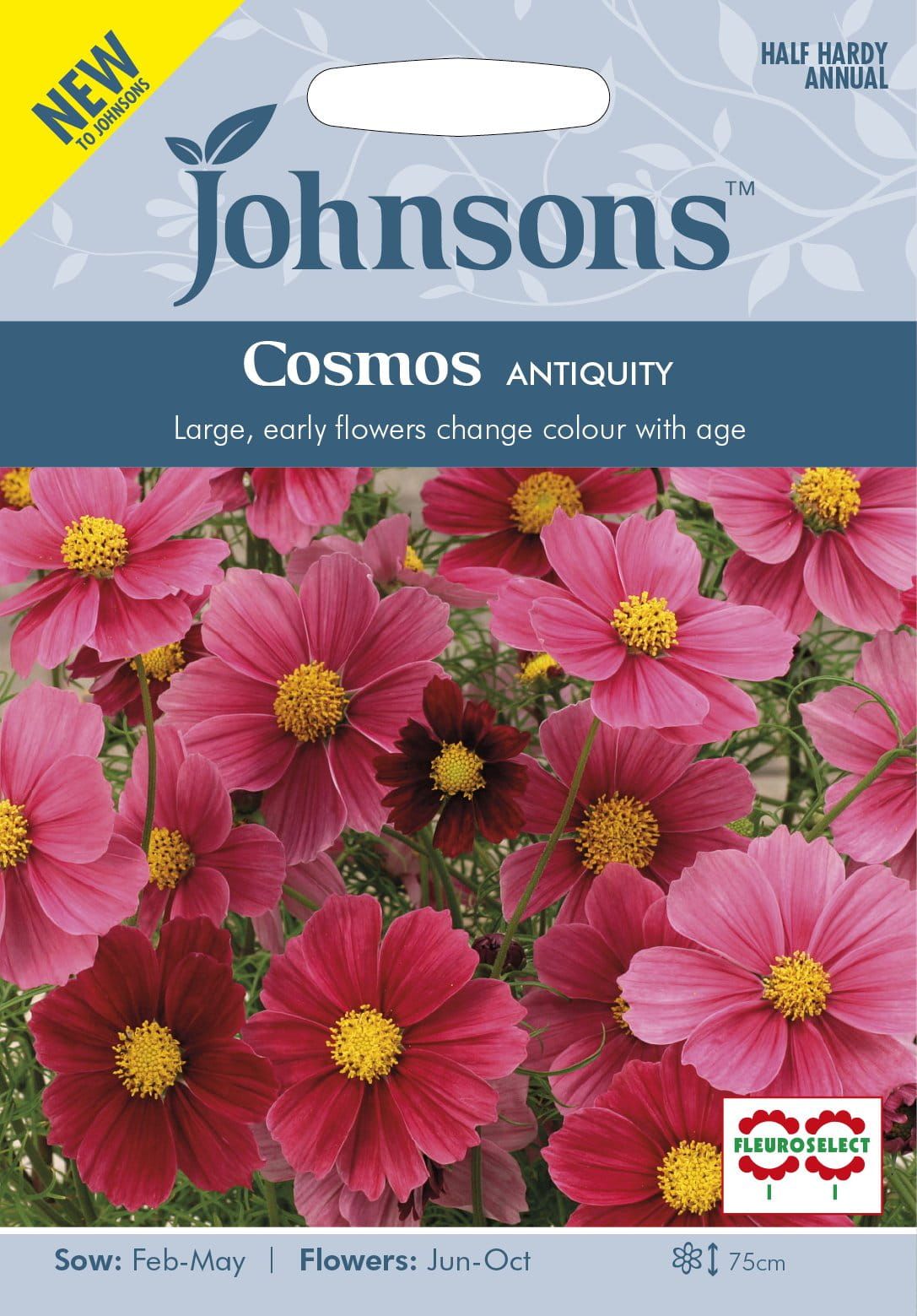 Johnsons Seeds Cosmos Antiquity 20 Seeds