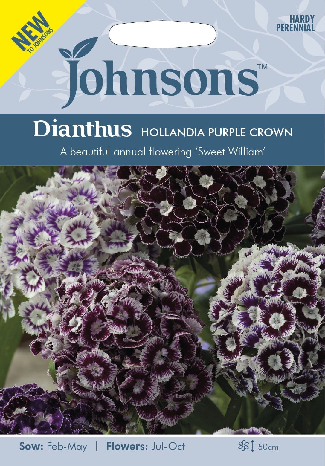 Johnsons Seeds Dianthus Hollandia Purple Crown 100 Seeds