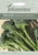 Johnsons Seeds Broccoli (Tenderstem) Inspiration F1 20 Seeds