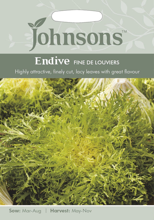 Johnsons Seeds Endive Fine De Louviers 1000 Seeds