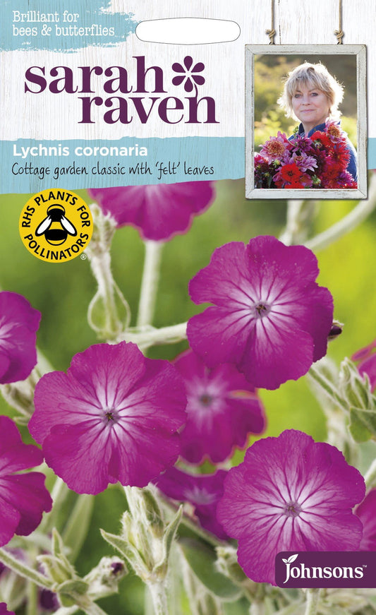 Johnsons Seeds Sarah Raven Wildlife- Lychnis Coronaria 500 Seeds