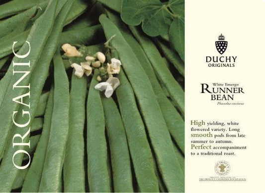 Thompson & Morgan Duchy Original Organic Vegetable Runner Bean White Emergo 25 Seed