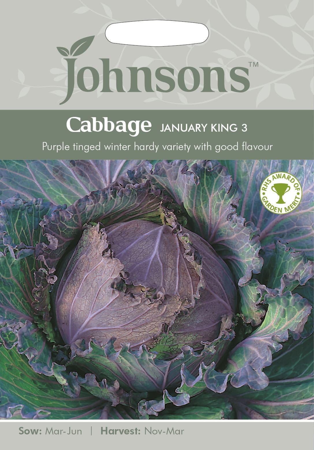 Johnsons Cabbage January King 3 500 Seeds