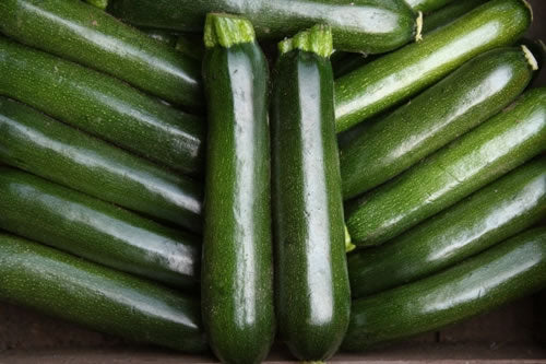 Courgette Midnight F1 Hybrid Seeds