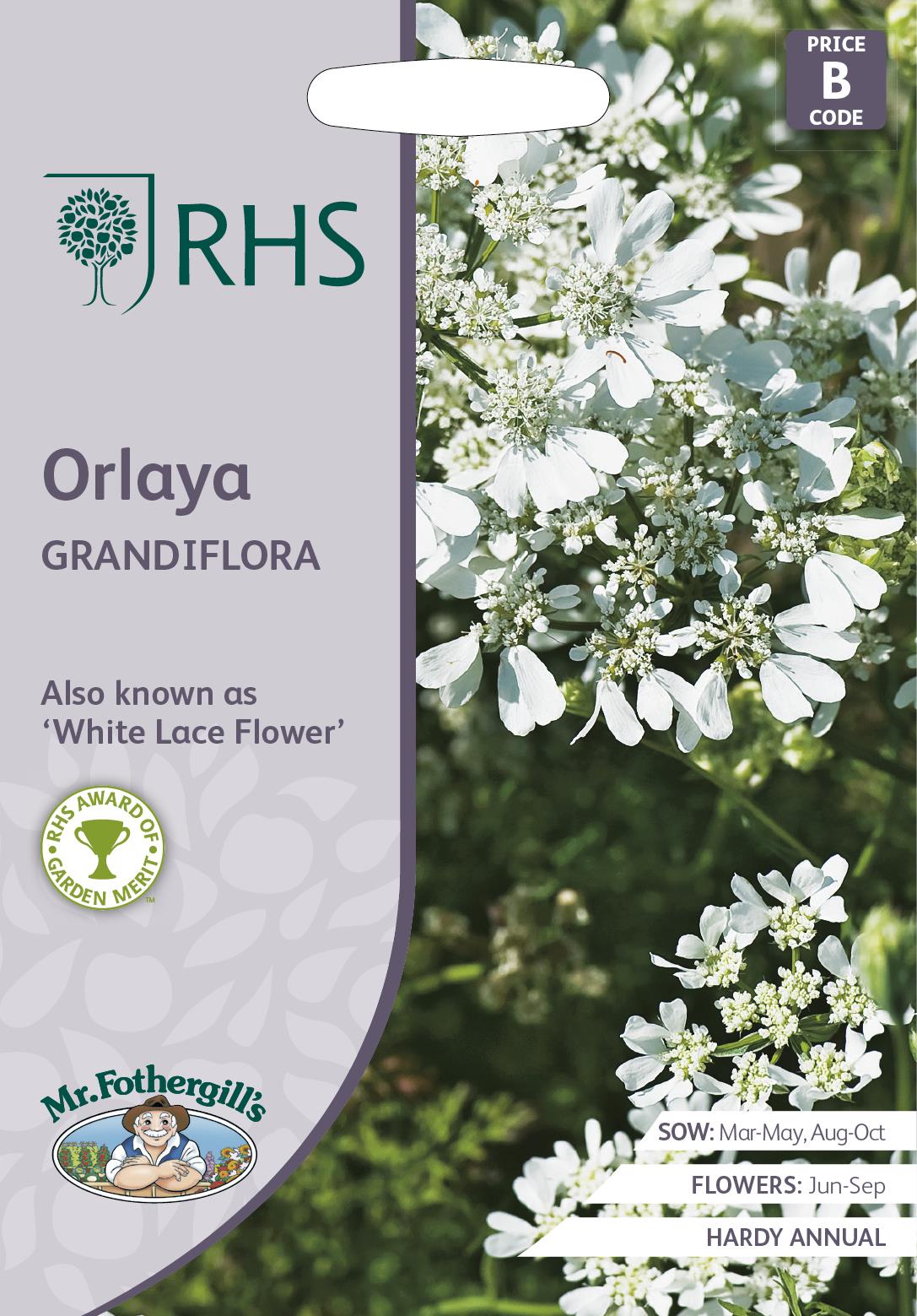 Mr Fothergills - RHS - Flower - Orlaya - Grandiflora - 25 Seeds