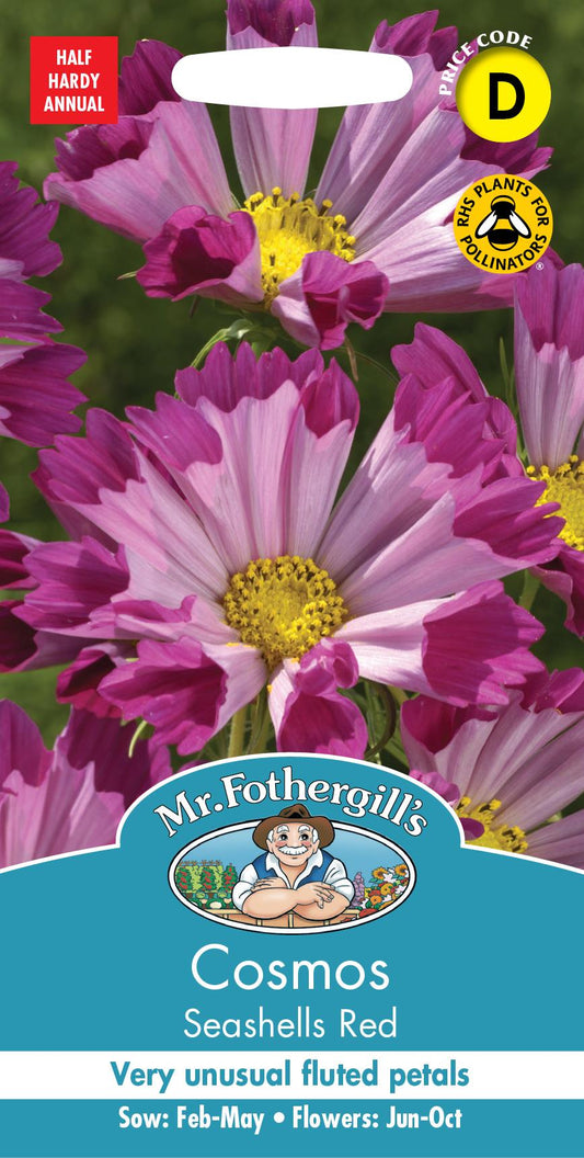 Mr Fothergills - Flower - Cosmos - Seashells Red - 30 Seeds