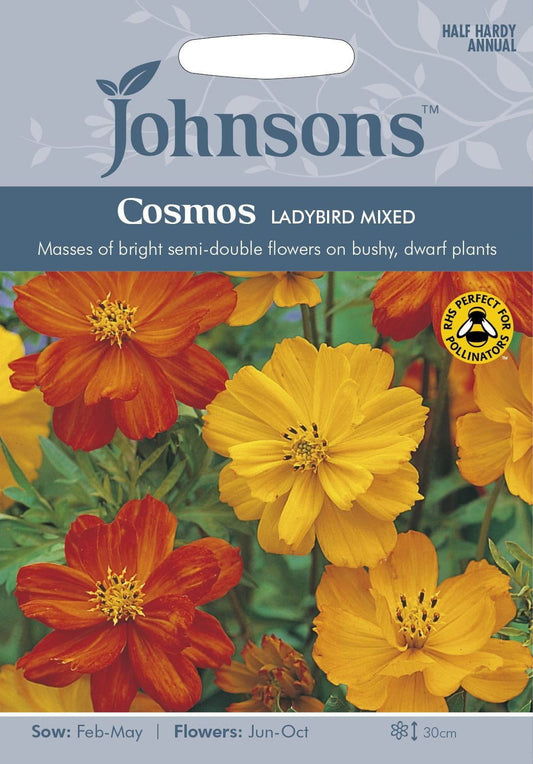 Johnsons Cosmos Ladybird 30 Seeds