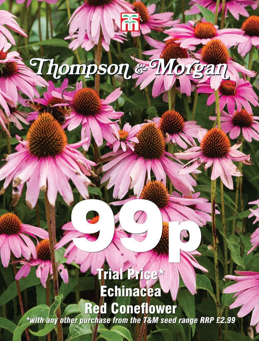 Thompson & Morgan - 99p Flower - Echinacea - Red Coneflower - 60 Seeds
