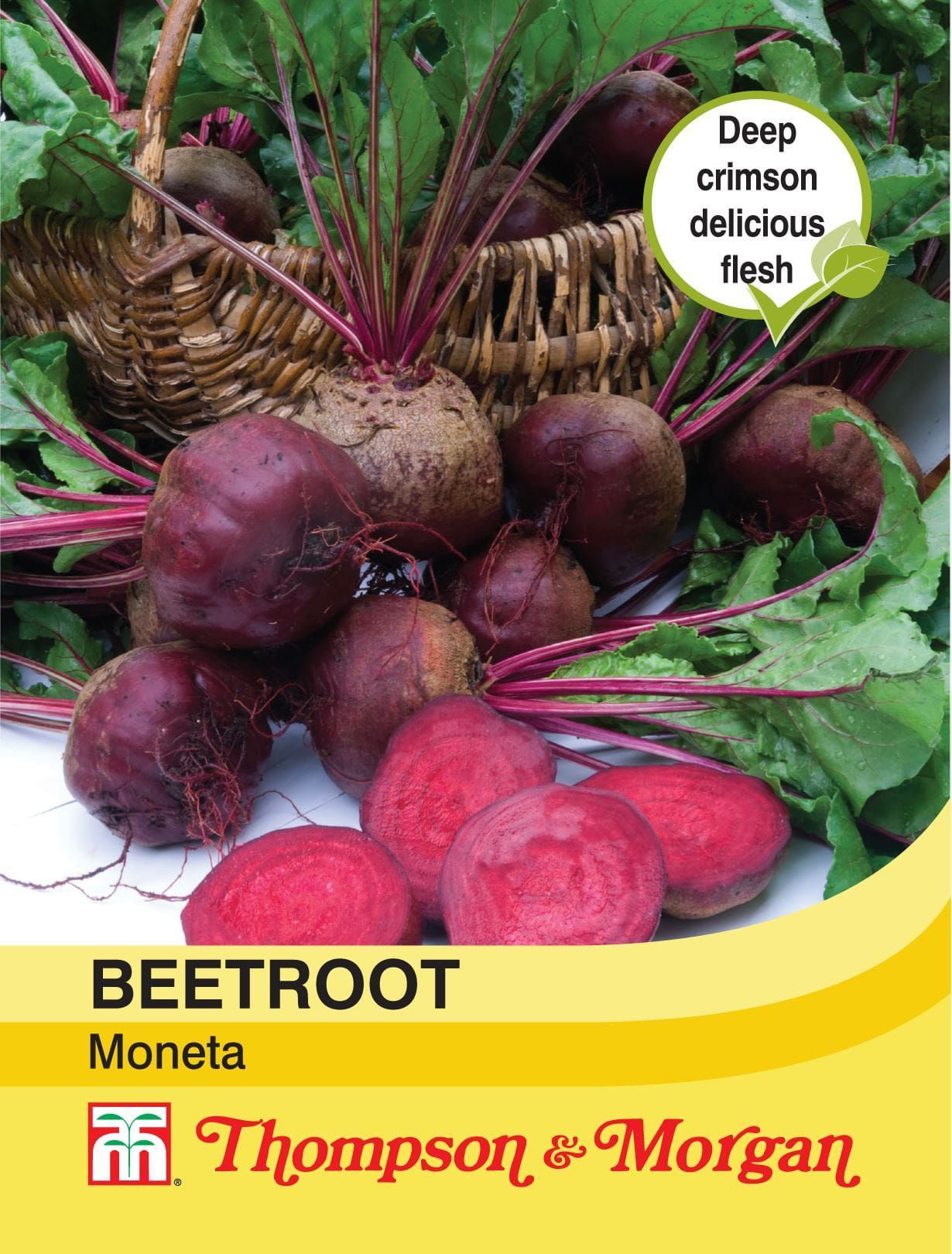 Thompson & Morgan - Vegetable - Beetroot - Moneta - 150 Seeds