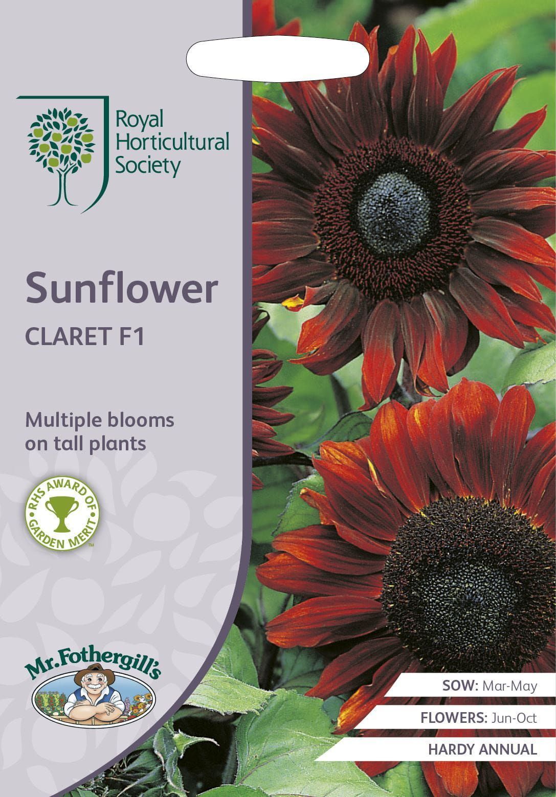 Mr Fothergills RHS Sunflower Claret F1 40 Seeds