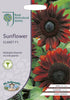 Mr Fothergills RHS Sunflower Claret F1 40 Seeds