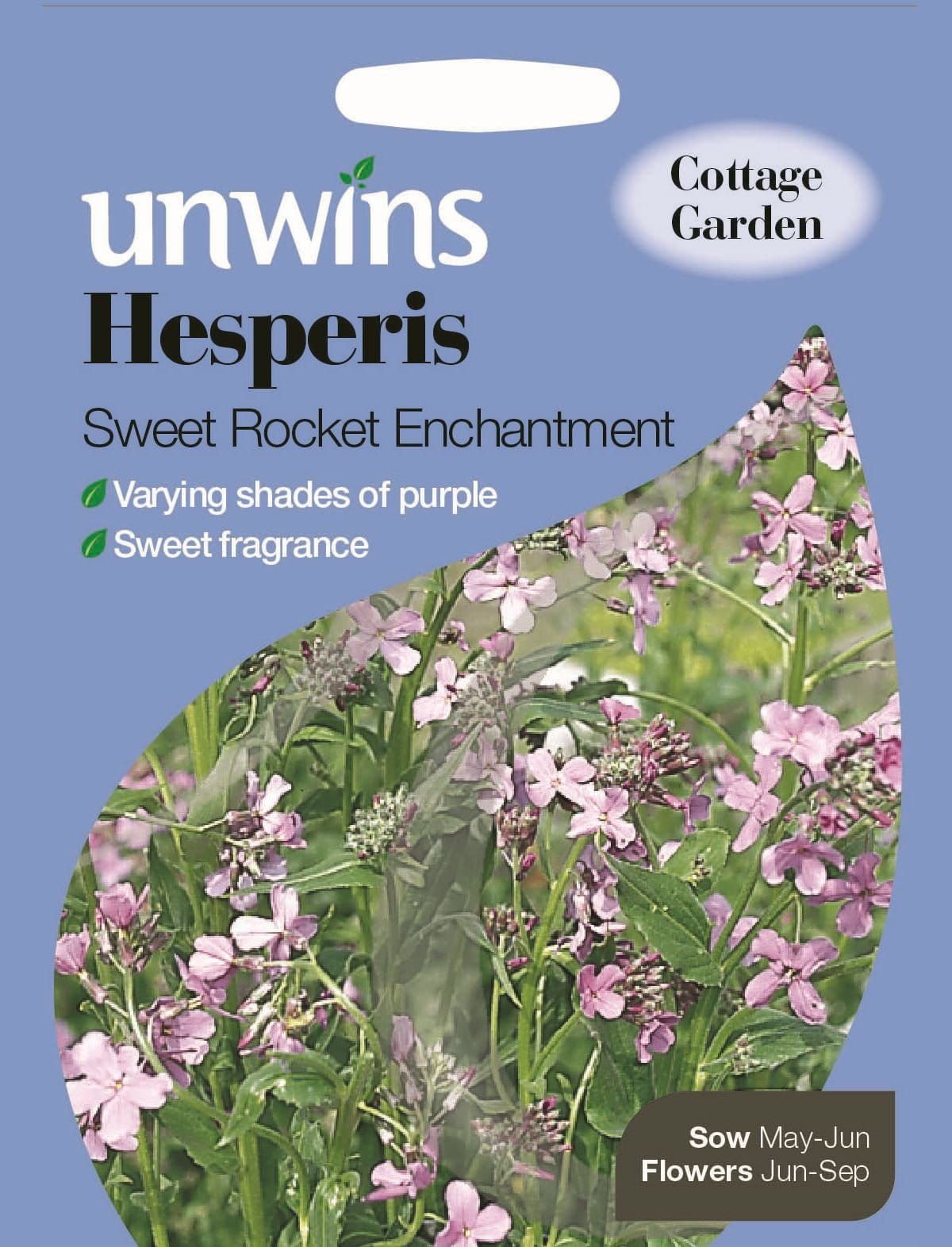 Unwins Hesperis Sweet Rocket Enchantment 100 Seeds
