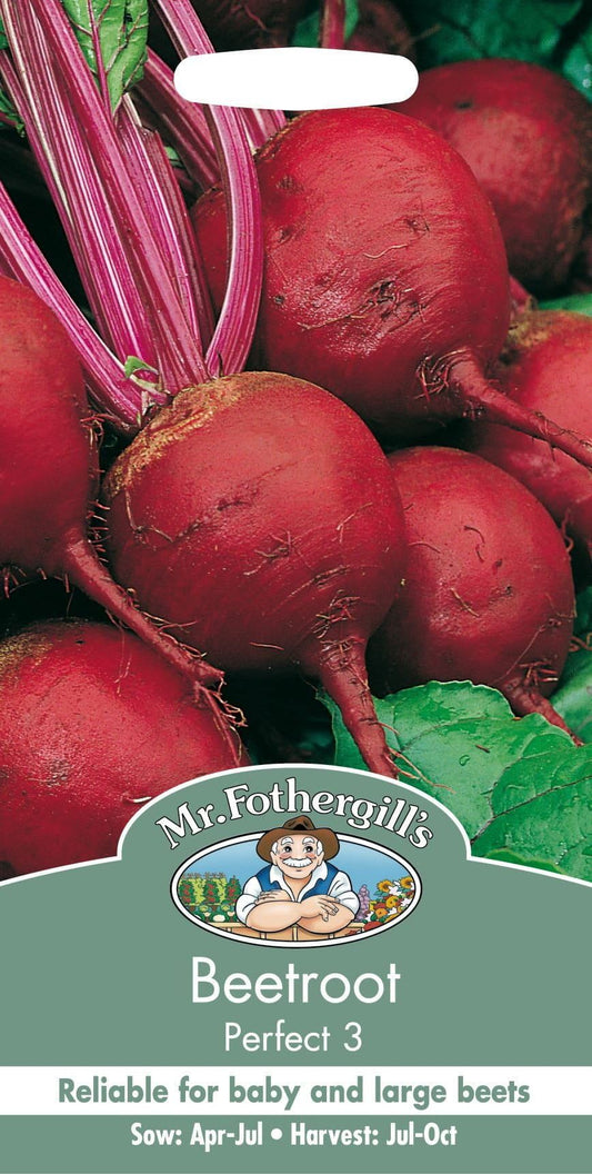 Mr Fothergills Beetroot Perfect 3 275 Seed