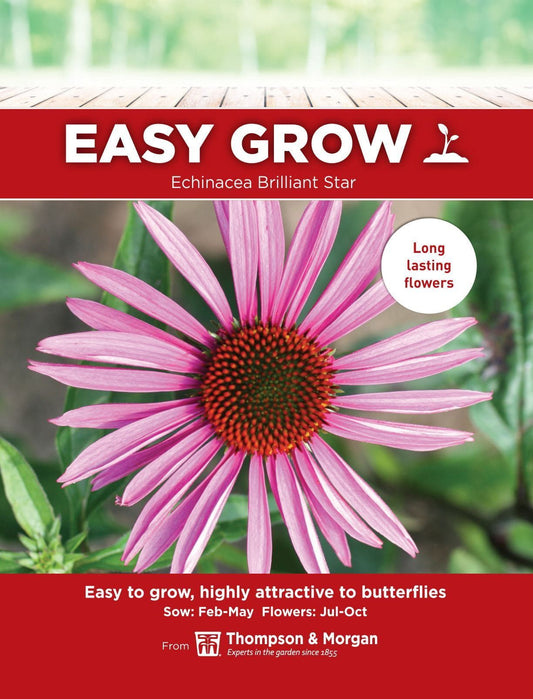 Thompson & Morgan - EasyGrow - Flower - Echinacea - Brilliant Star - 30 Seeds