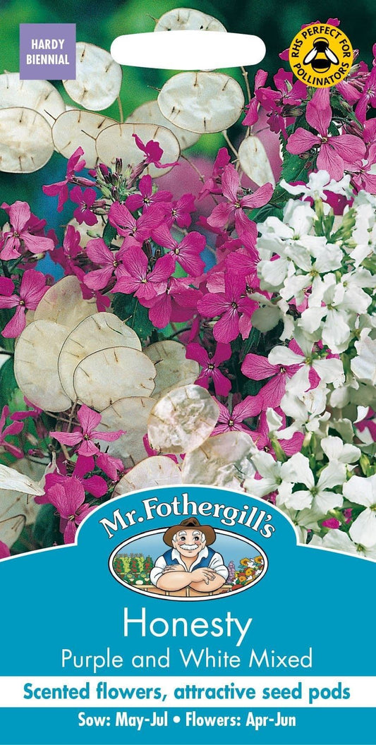 Mr Fothergills Honesty Purple and White Mixed 50 Seeds