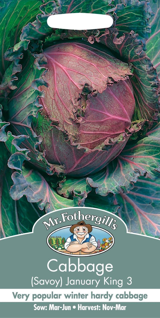 Mr Fothergills Savoy Cabbage January King 3 500 Seeds