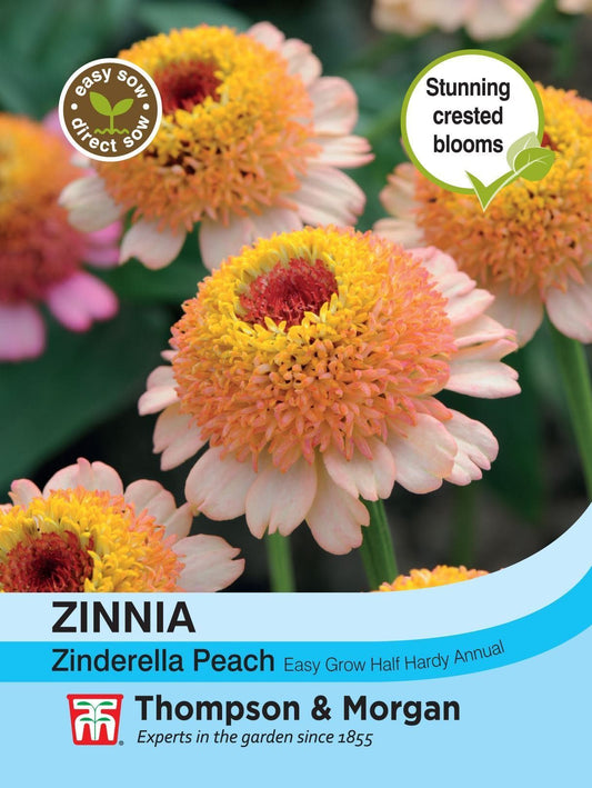 Thompson & Morgan - Flower - Zinnia - Zinderella Peach - 20 Seeds