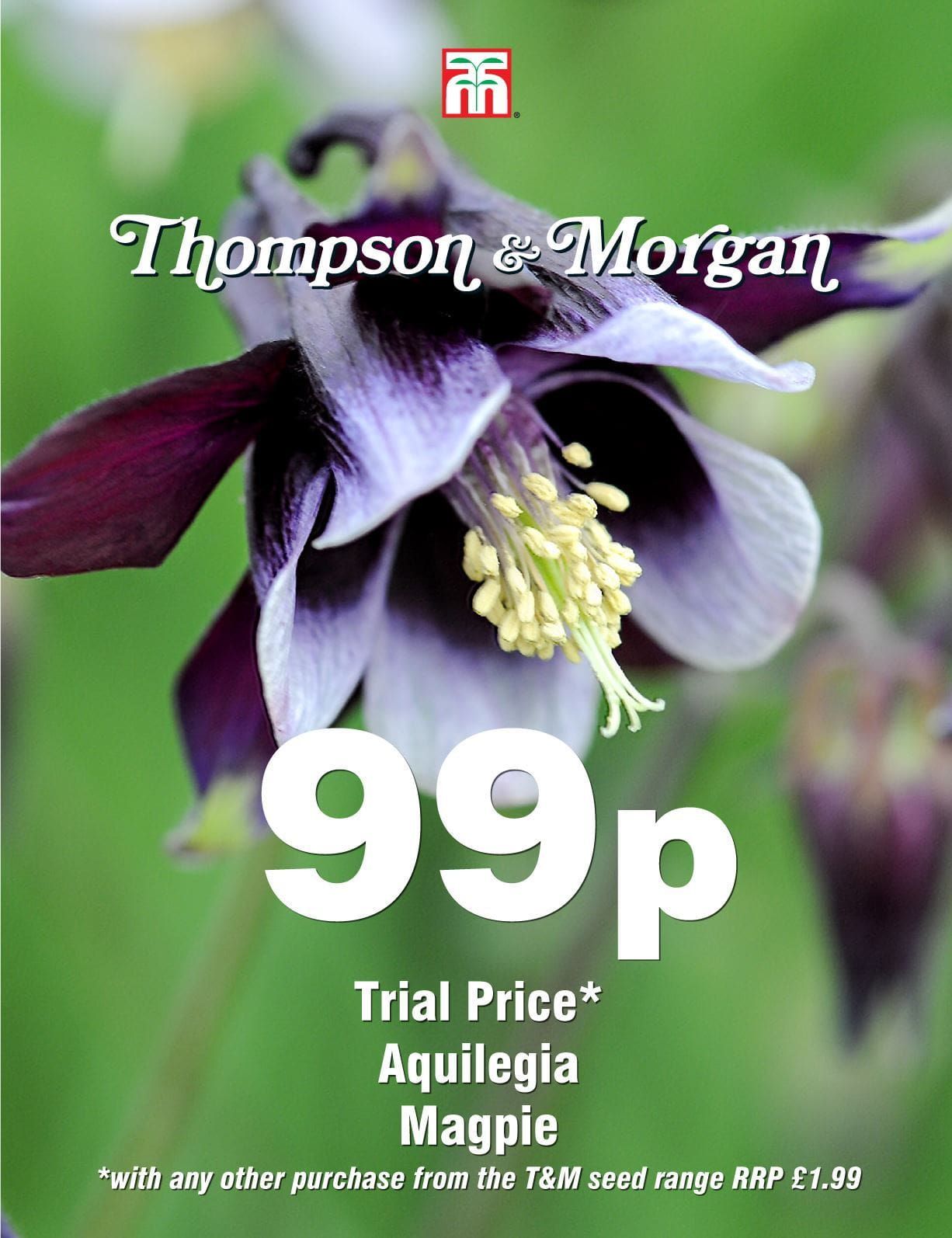 Thompson & Morgan - 99p Flower - Aquilegia - Magpie - 50 Seeds