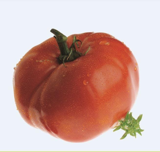 Tomato Delicious Seeds