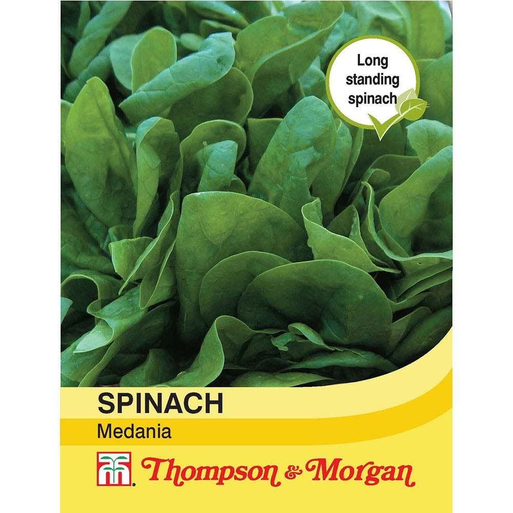 Thompson & Morgan Spinach Medania 225 Seed
