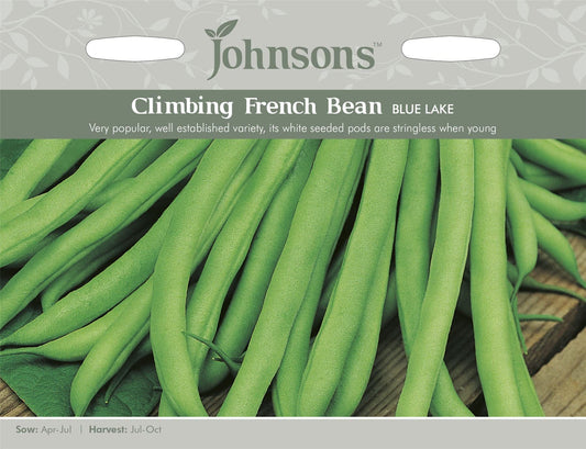 Johnsons Climbing Bean Blue Lake 100 Seeds